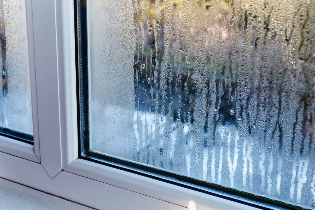 Feuchtigkeit und Schimmel beim Immobilienkauf: Worauf sollten Käufer achten?